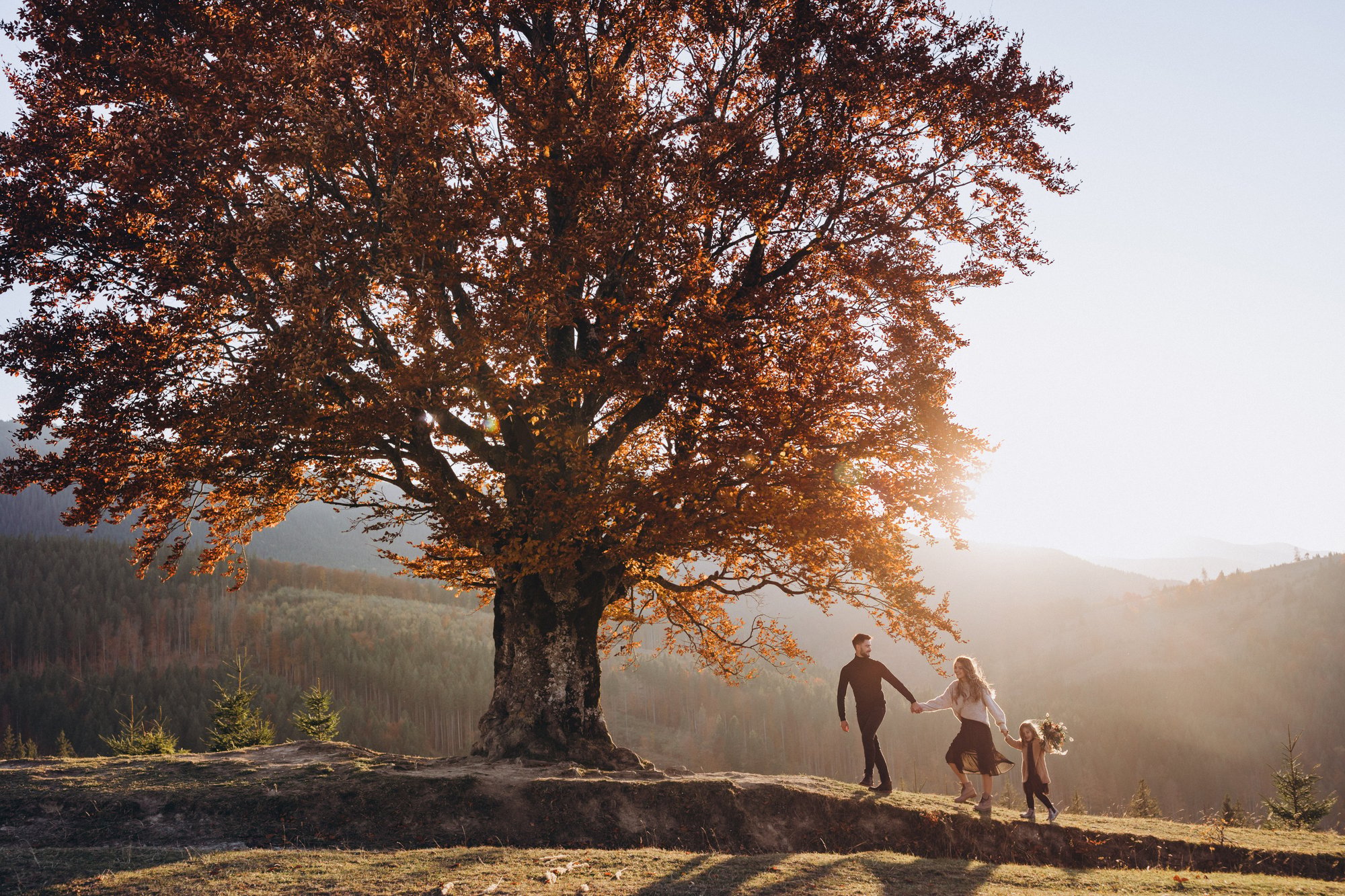 AdobeStock_348842855